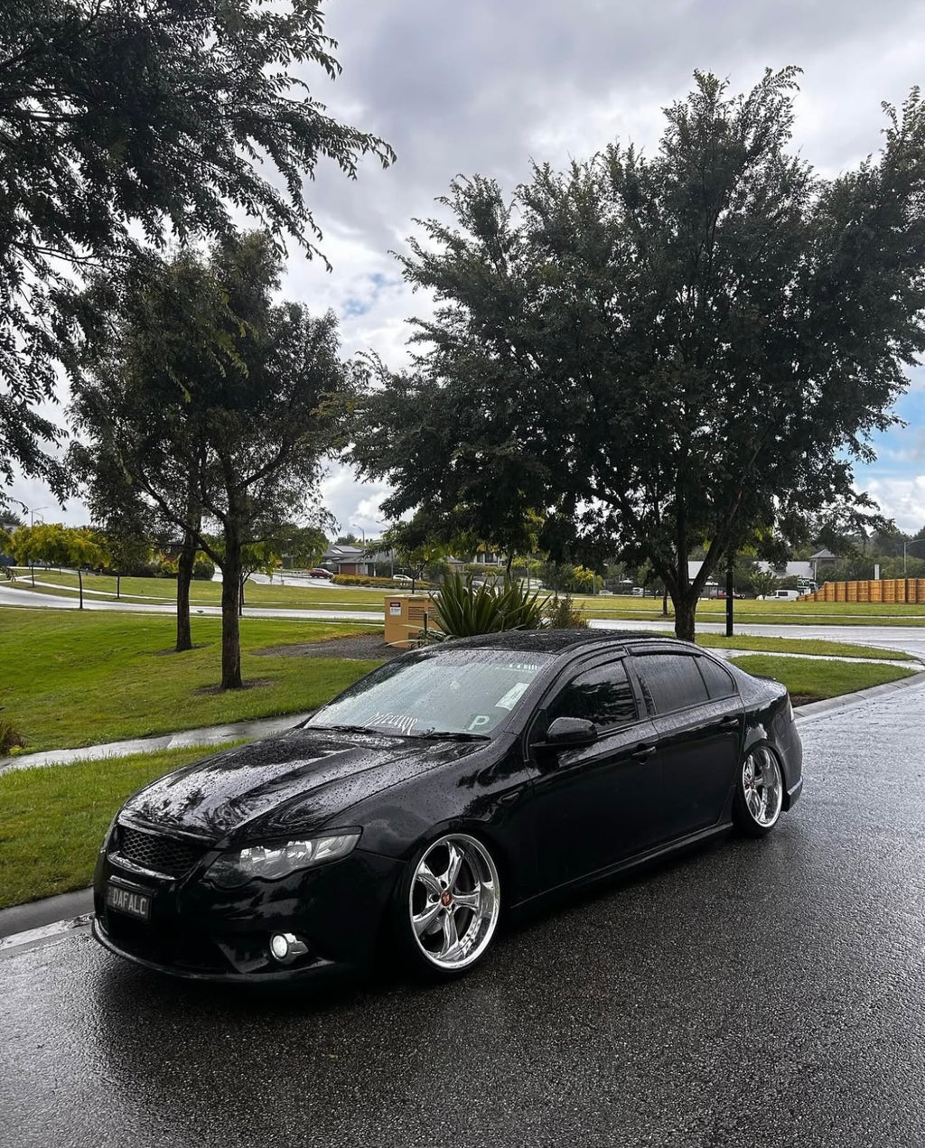 Ford FG/FGX king springs (08-16)